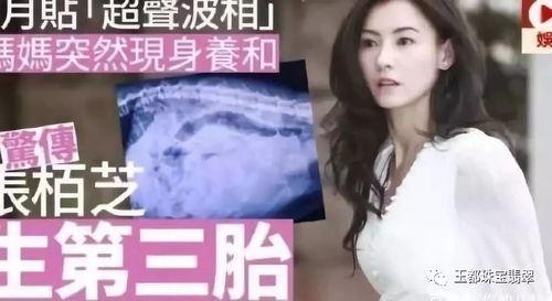 谢娜爆料张柏芝视频,背后真相引发热议 第3张 谢娜爆料张柏芝视频,背后真相引发热议 第3张