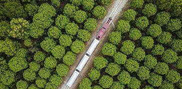 青花椒的爆料方法视频教程,视频教程详解 第2张 青花椒的爆料方法视频教程,视频教程详解 第2张